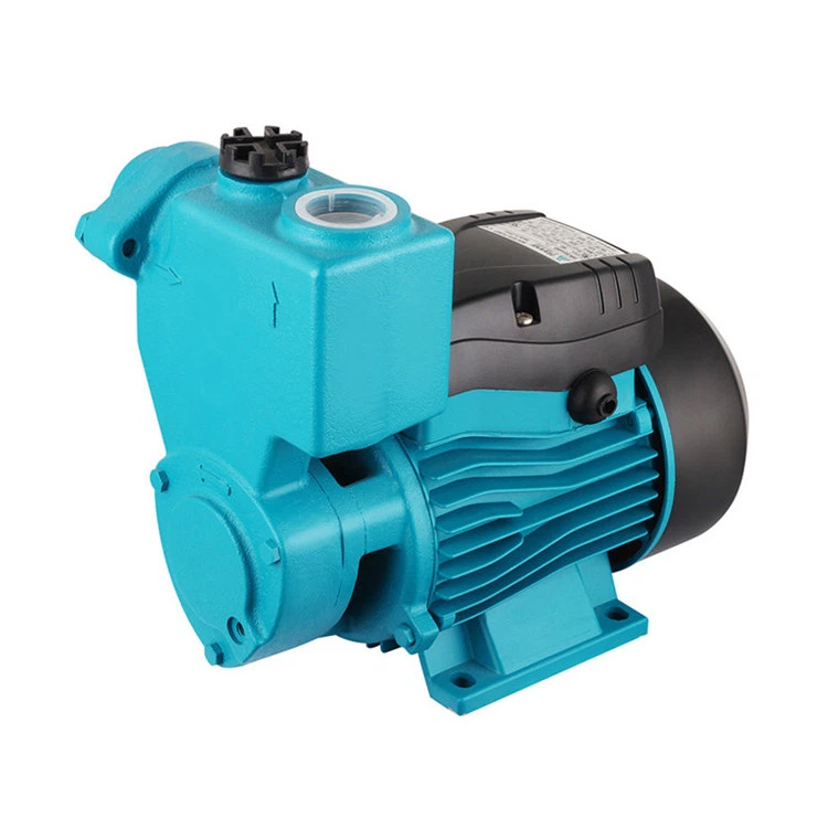 물 주변 부스터 펌프